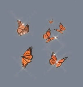 Meet your Posher, Yoana valencia.